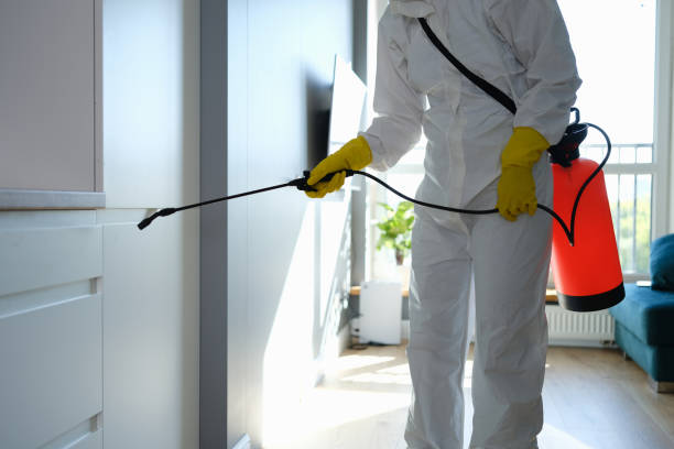 Best Mold Remediation for Specific Building Types in Pixley, CA