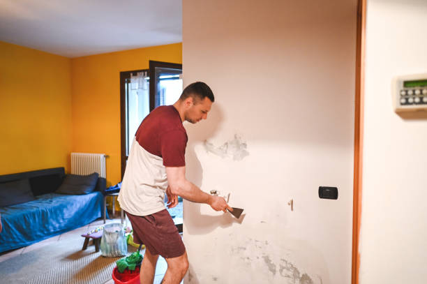 Best Black Mold Remediation in Pixley, CA